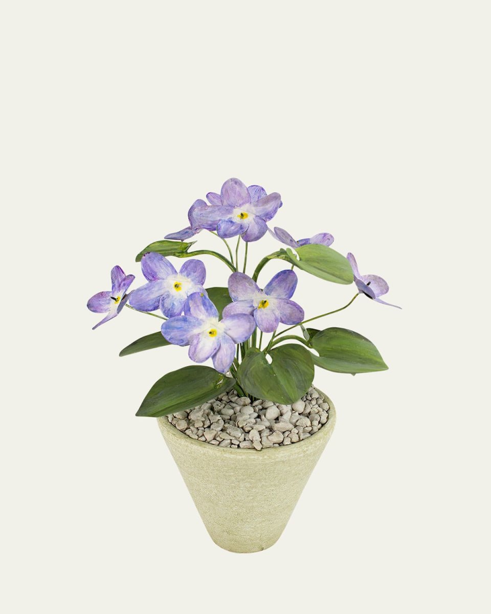 Violet February Birth Flower in White Terracotta Pot